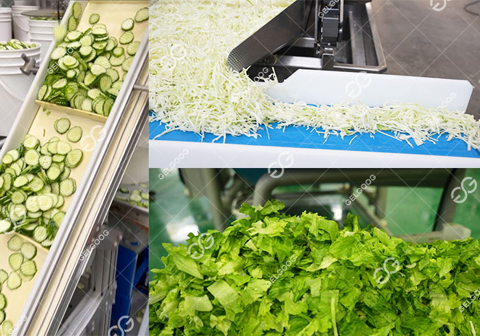 Vegetable Salad Processing